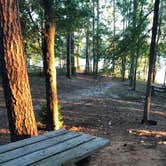 Review photo of Baker Creek State Park Campground by Angie G., July 29, 2019