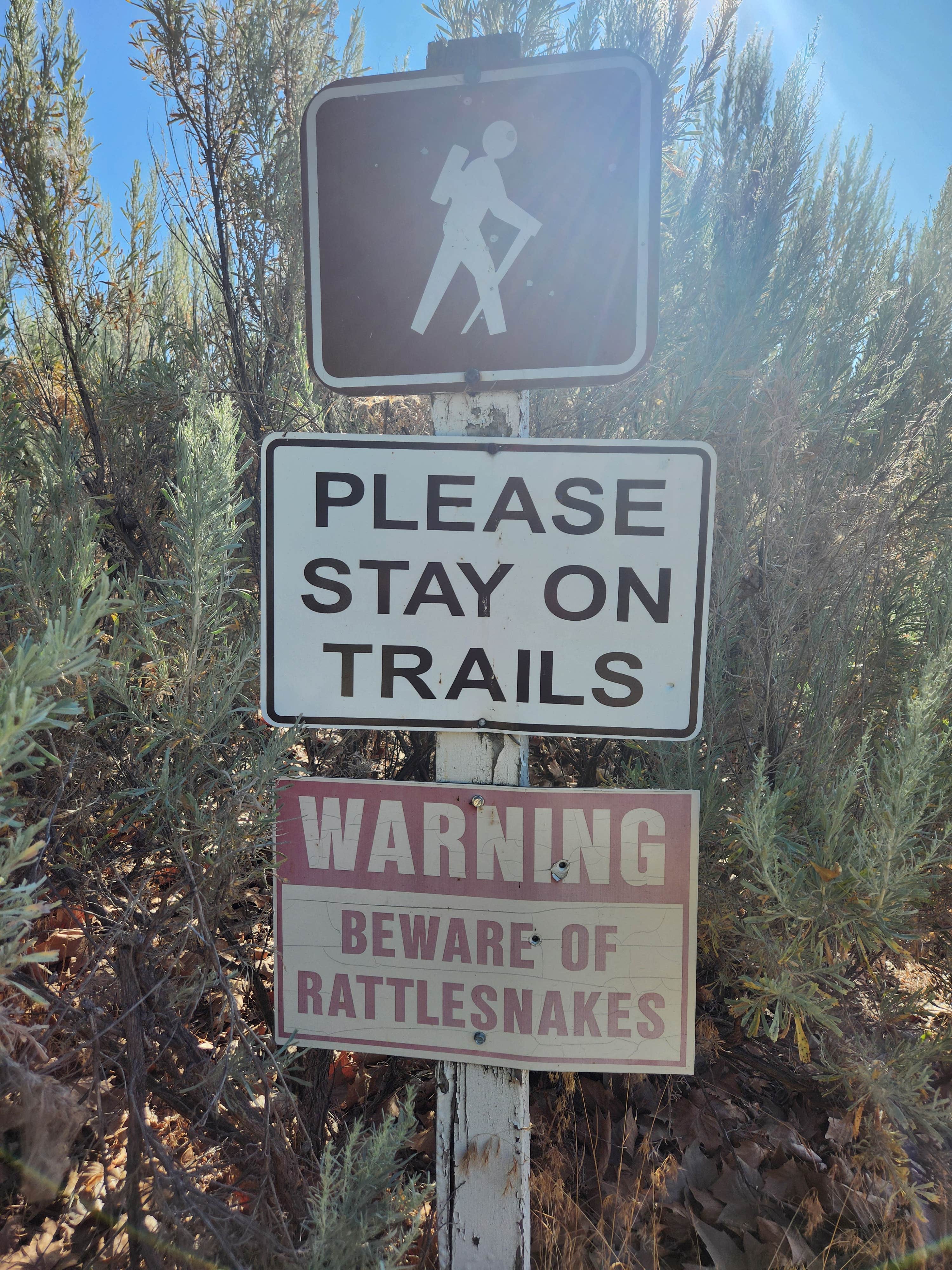 Camper-submitted photo at Crow Butte Park near Mikkalo, OR