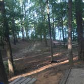 Review photo of Baker Creek State Park Campground by Angie G., July 29, 2019