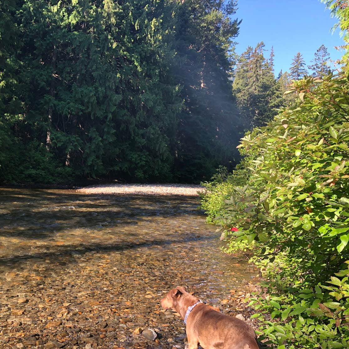 Rock Island Campground | Leavenworth, WA