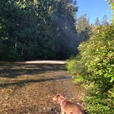 Review photo of Rock Island Campground by Melissa  W., July 29, 2019