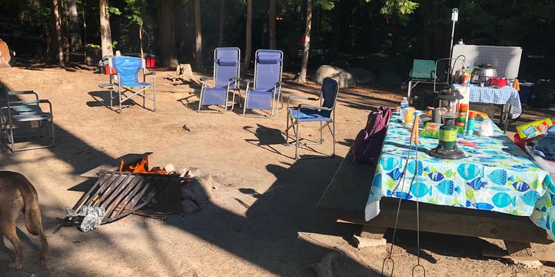 Camper submitted image from Rock Island Campground