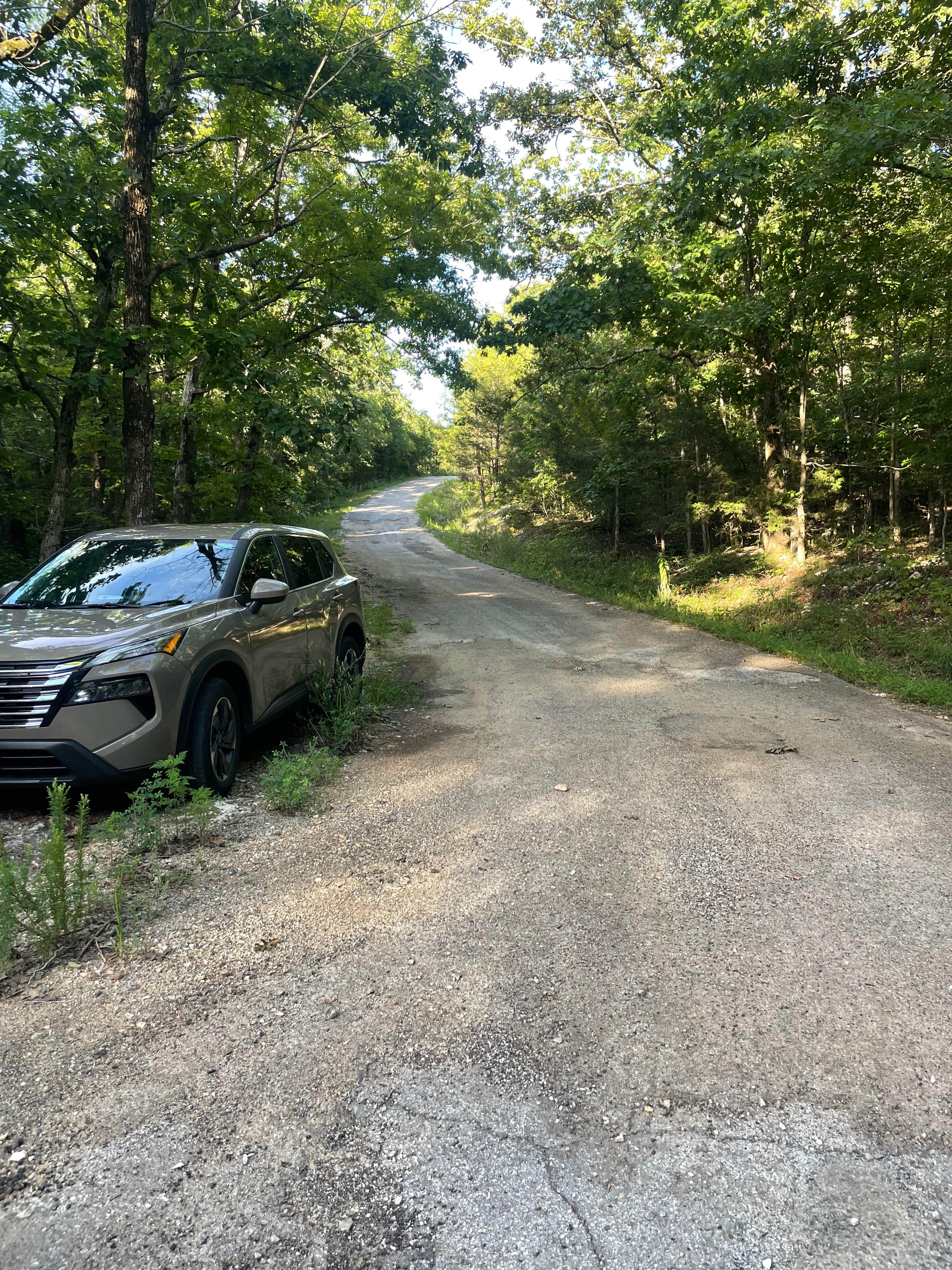 Camper-submitted photo at 🌲 Nate’s Stream-Side Camping Spot near Moody, MO