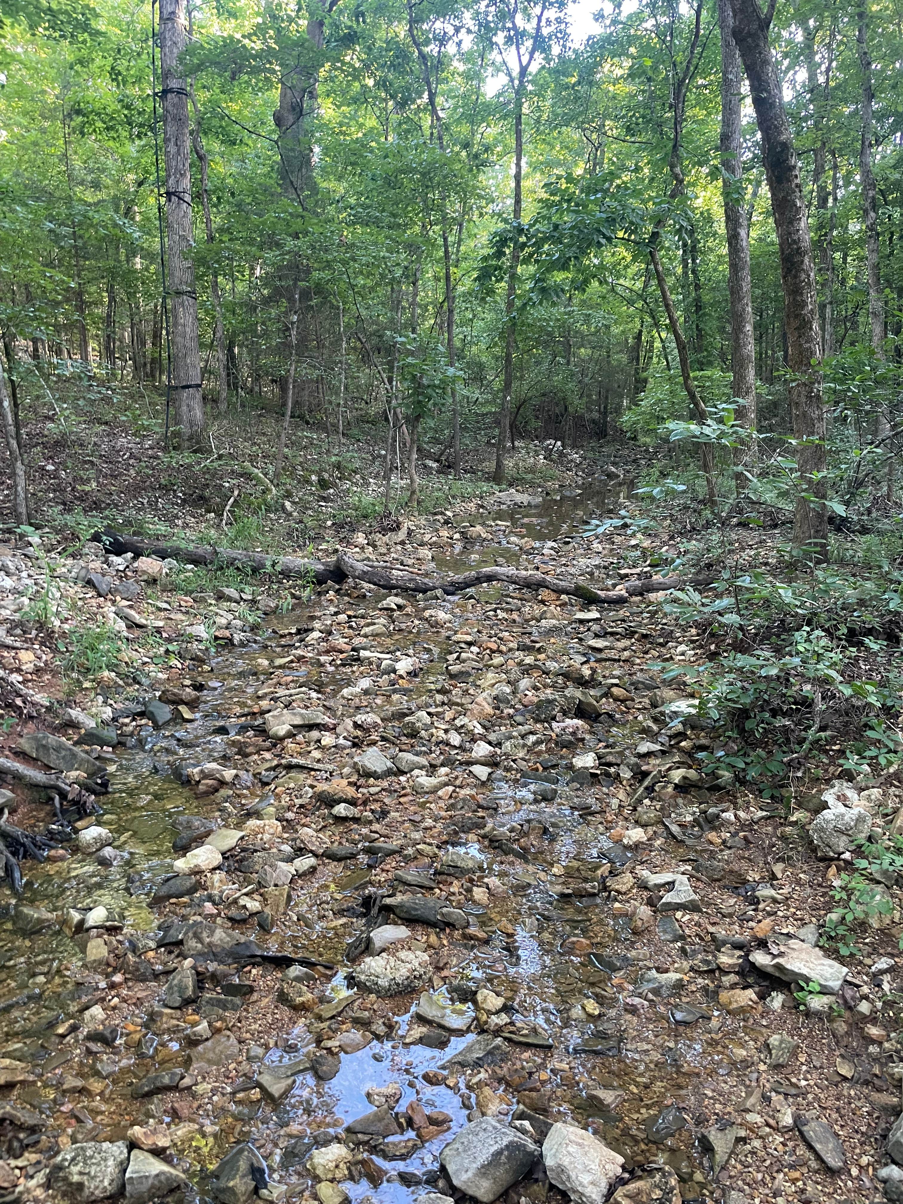 Camper-submitted photo at 🌲 Nate’s Stream-Side Camping Spot near Moody, MO