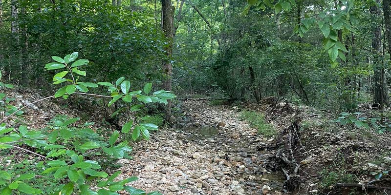 Camper submitted image from 🌲 Nate’s Stream-Side Camping Spot