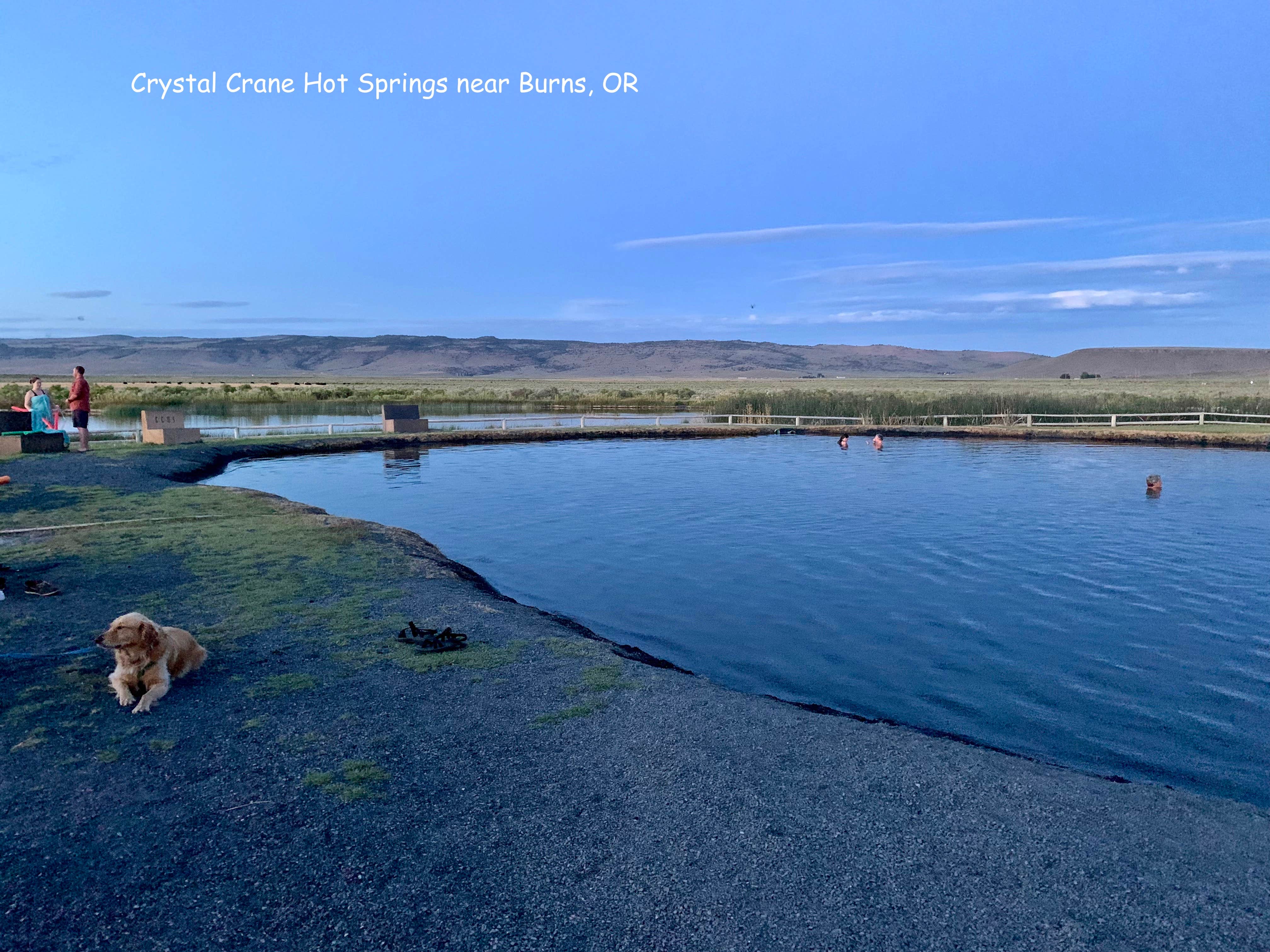 Candace  D.'s photo of camping with pets at Crane Hot Springs near Burns, OR