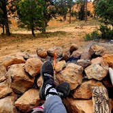 Review photo of Cabin Hollow FS #121 Dispersed Camping by Sharon & Joe P., July 4, 2025