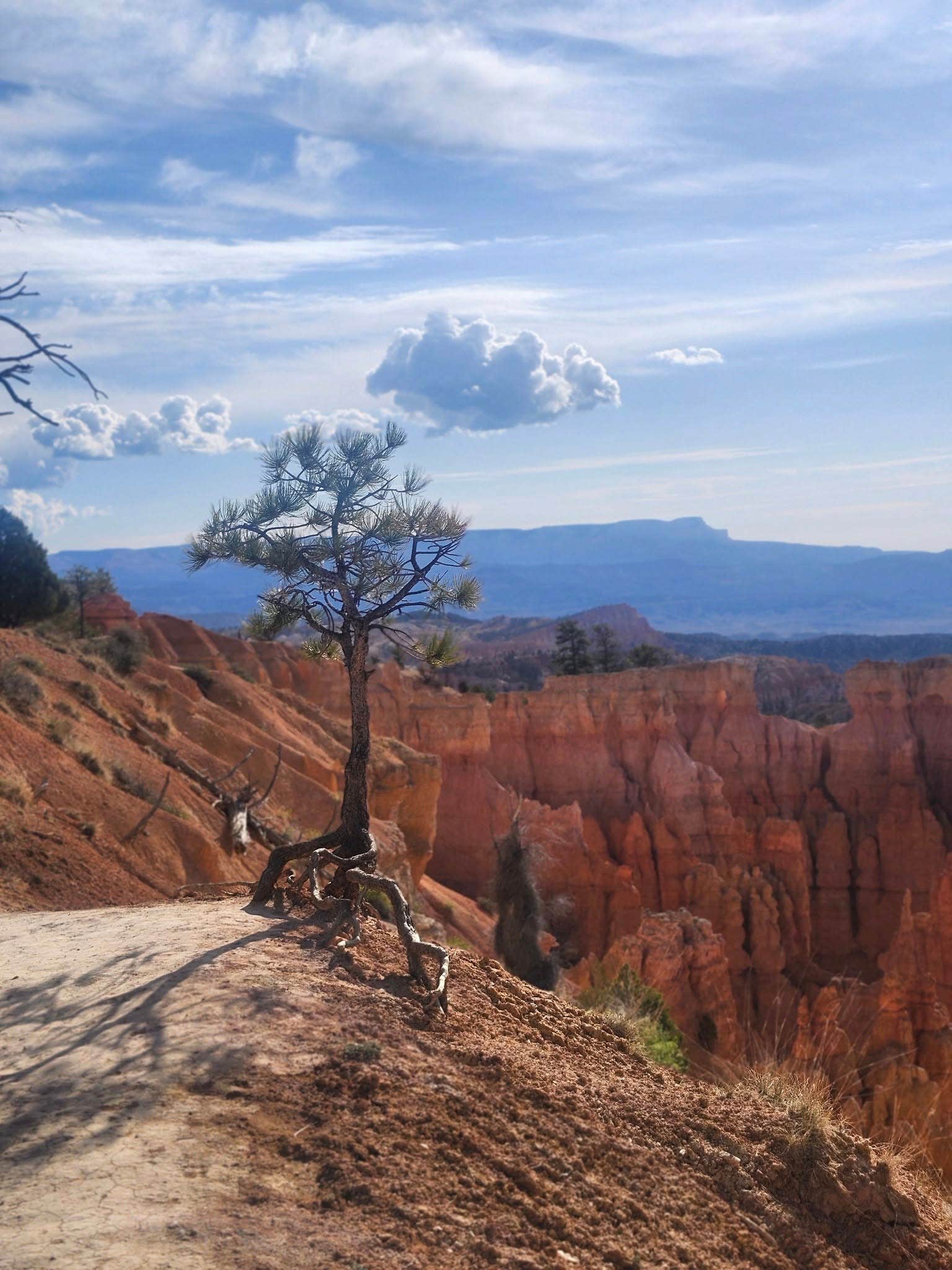 Sharon & Joe P.'s photo of a dispersed camping area at Cabin Hollow FS #121 Dispersed Camping near Junction, UT