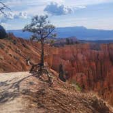 Review photo of Cabin Hollow FS #121 Dispersed Camping by Sharon & Joe P., July 4, 2025