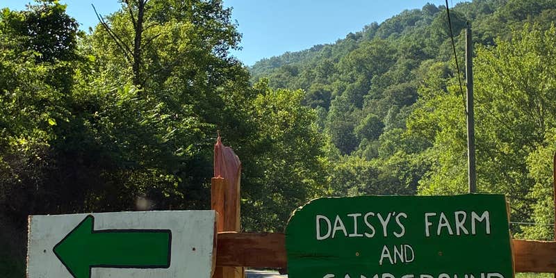 Camper submitted image from Daisy’s Farm and Campground