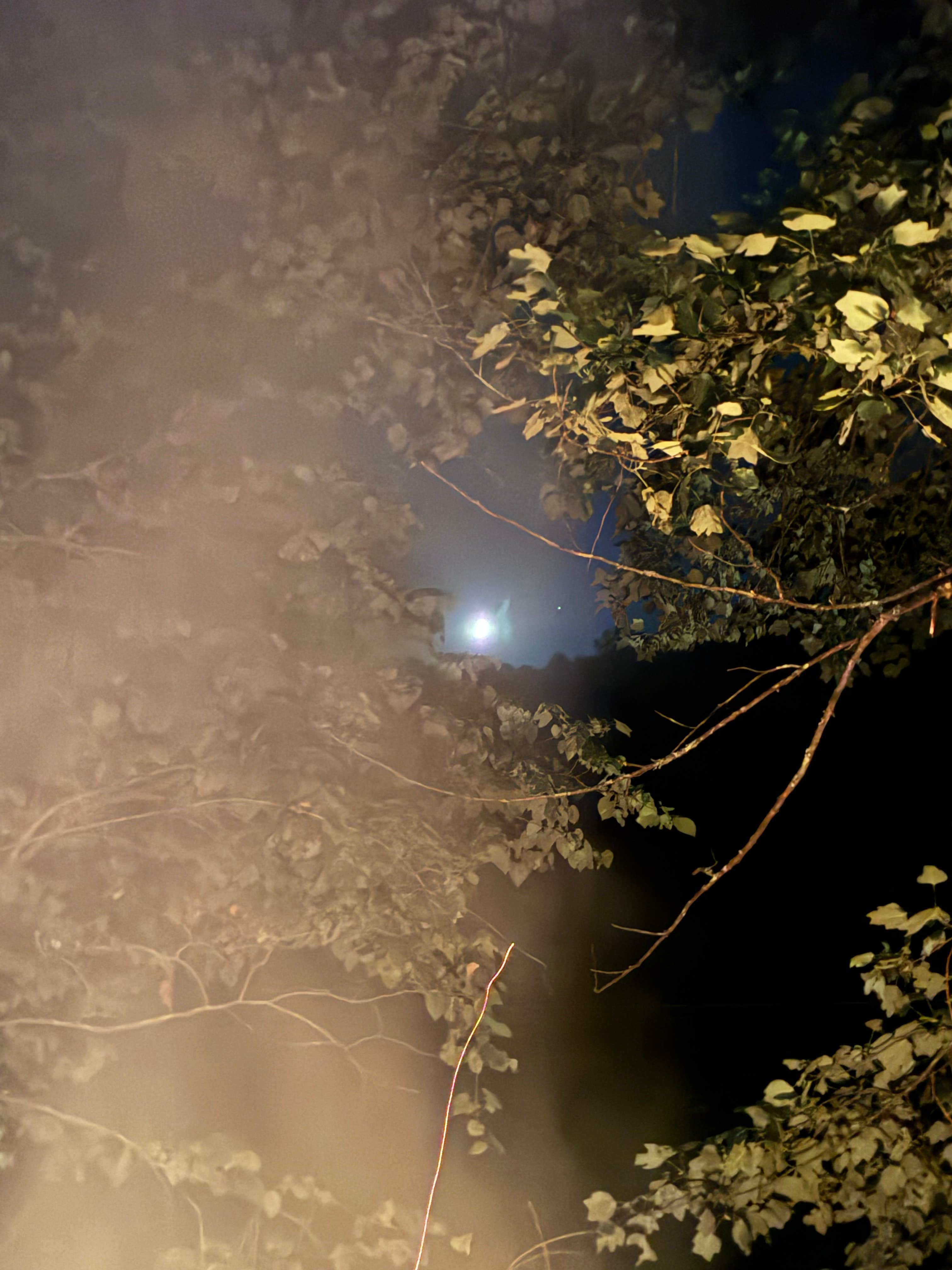 Camper-submitted photo at Daisy’s Farm and Campground near Buckhorn Lake