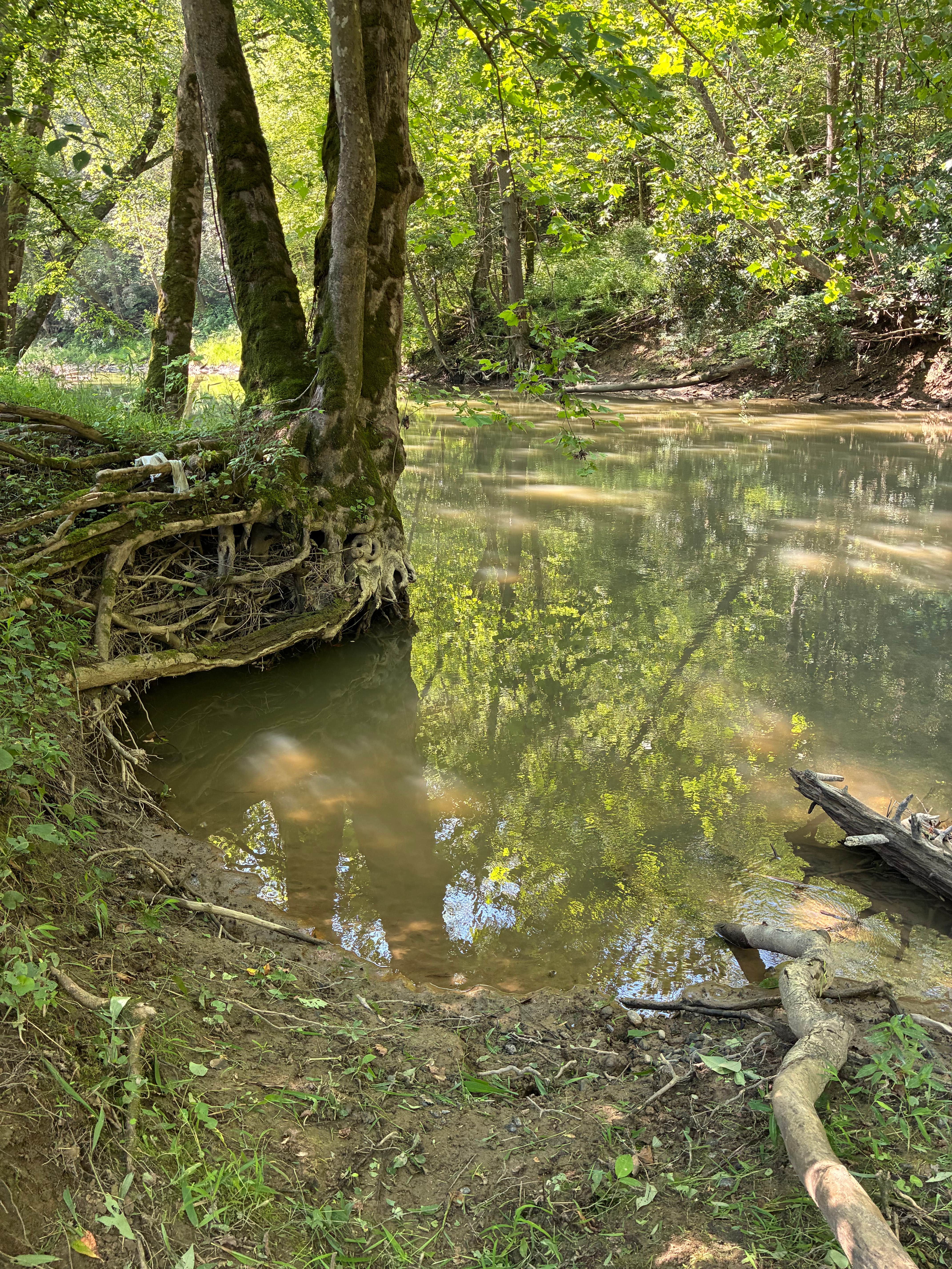 Camper-submitted photo at Daisy’s Farm and Campground near Buckhorn Lake