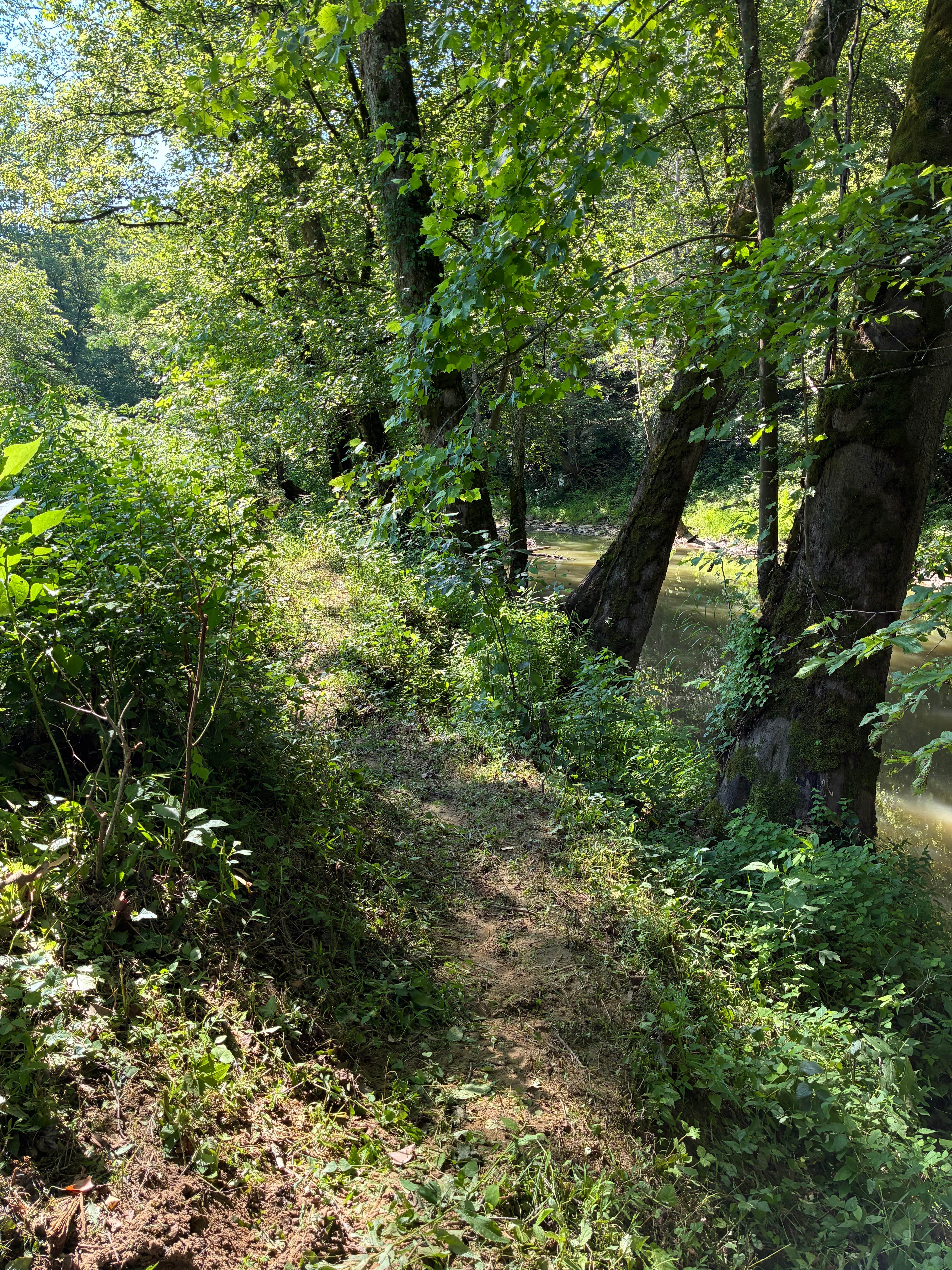 Camper-submitted photo at Daisy’s Farm and Campground near Buckhorn Lake