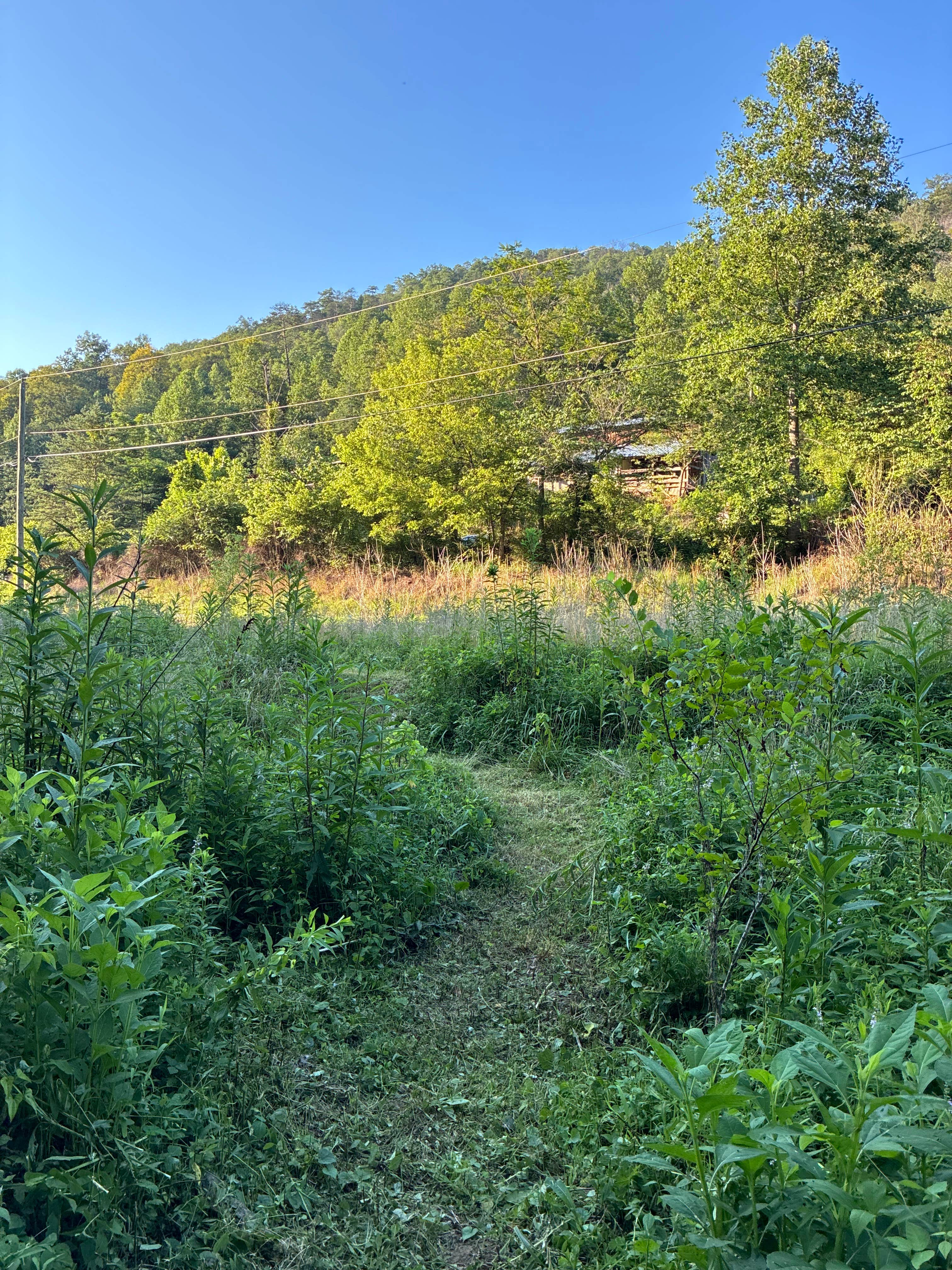 Camper-submitted photo at Daisy’s Farm and Campground near Pineville, KY