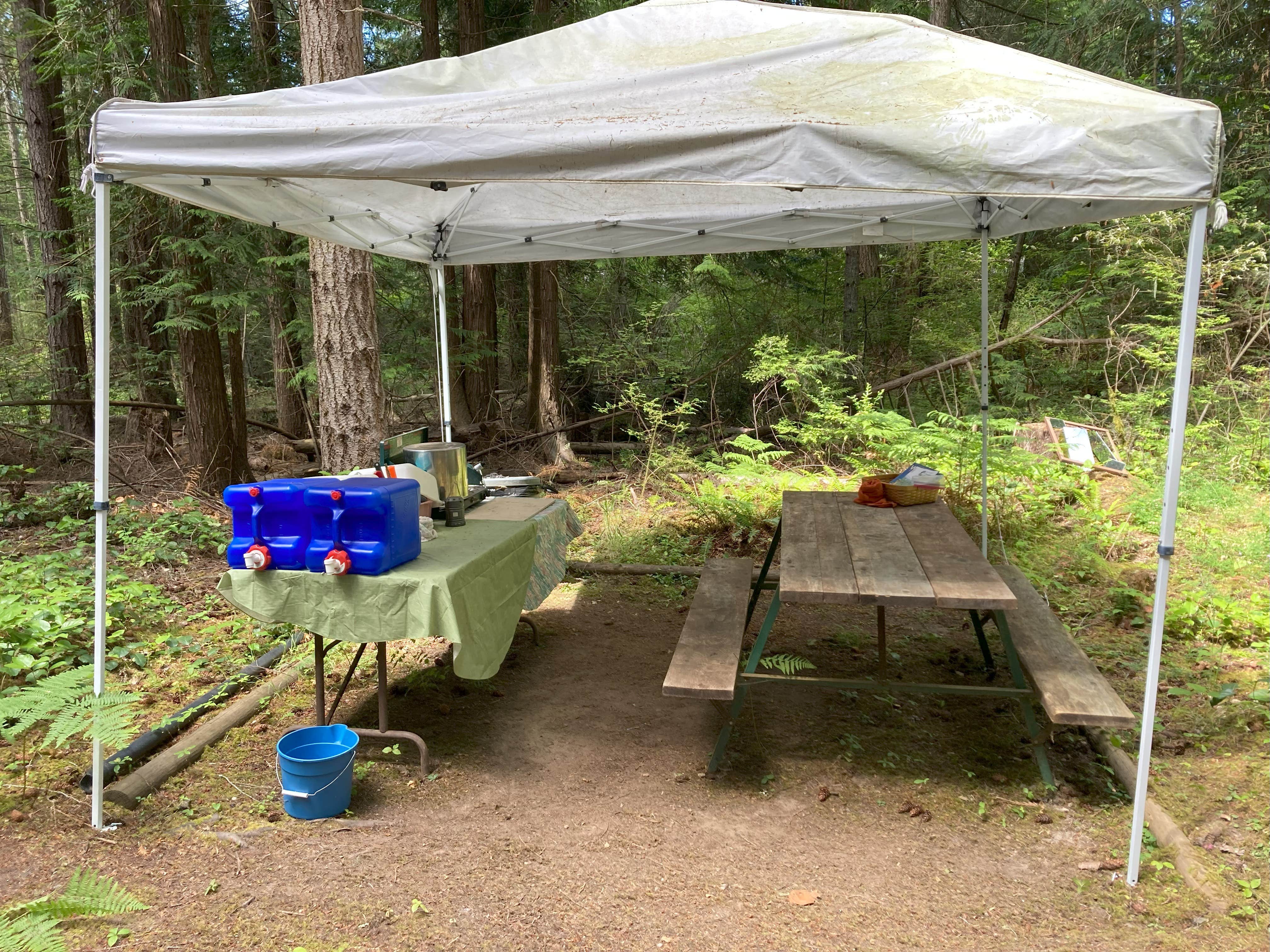 Will & Asha J.'s photo of tent camping at 7 Acres Of Heaven near Port Townsend, WA
