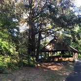 Review photo of Fort Stevens State Park Campground by Andy H., July 29, 2019