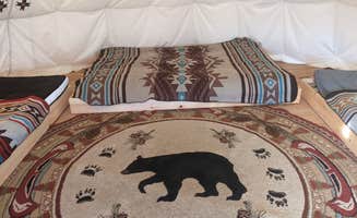 Madeline W.'s photo of glamping accommodations at Bald Mountain Farm near Unity, ME