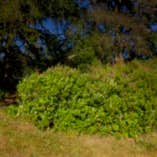 Review photo of Fort Stevens State Park Campground by Andy H., July 29, 2019