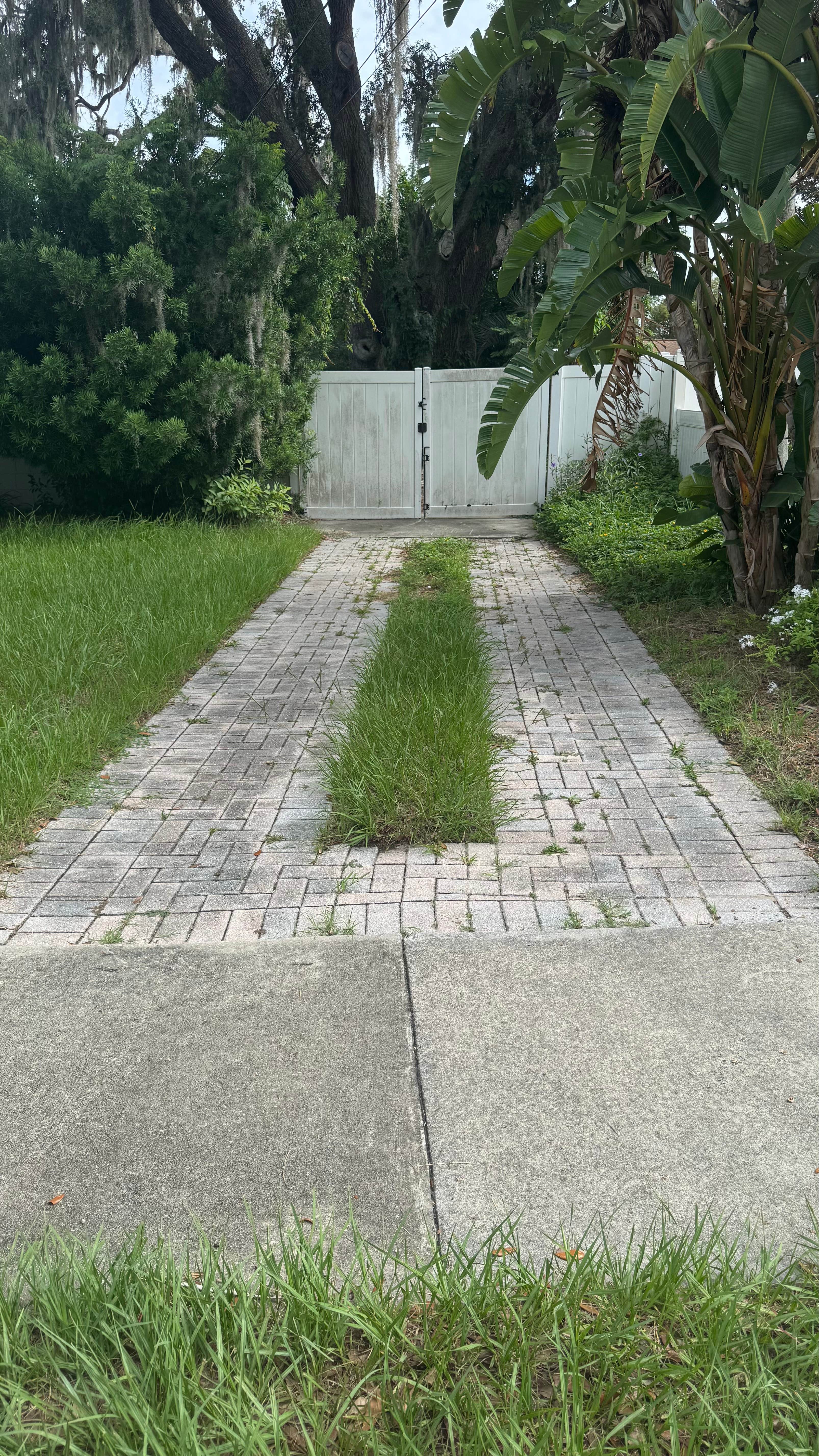 Camping near Land O' Lakes MHP & RV: STnTGazelle, DeLand, Florida