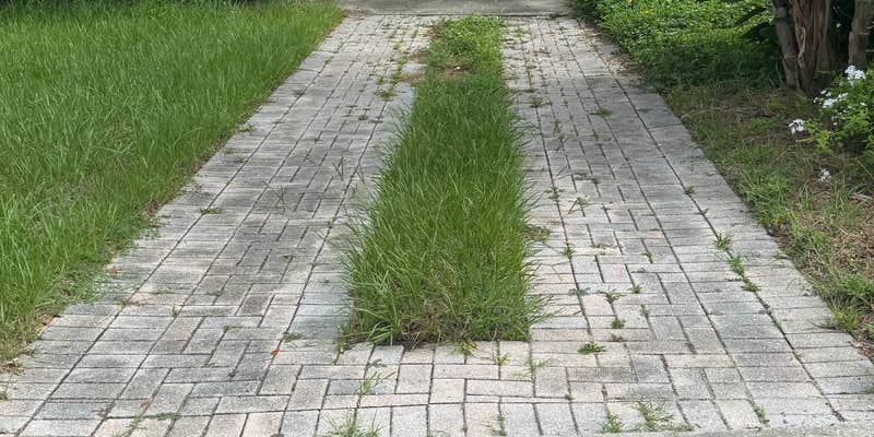 Camper submitted image from STnTGazelle