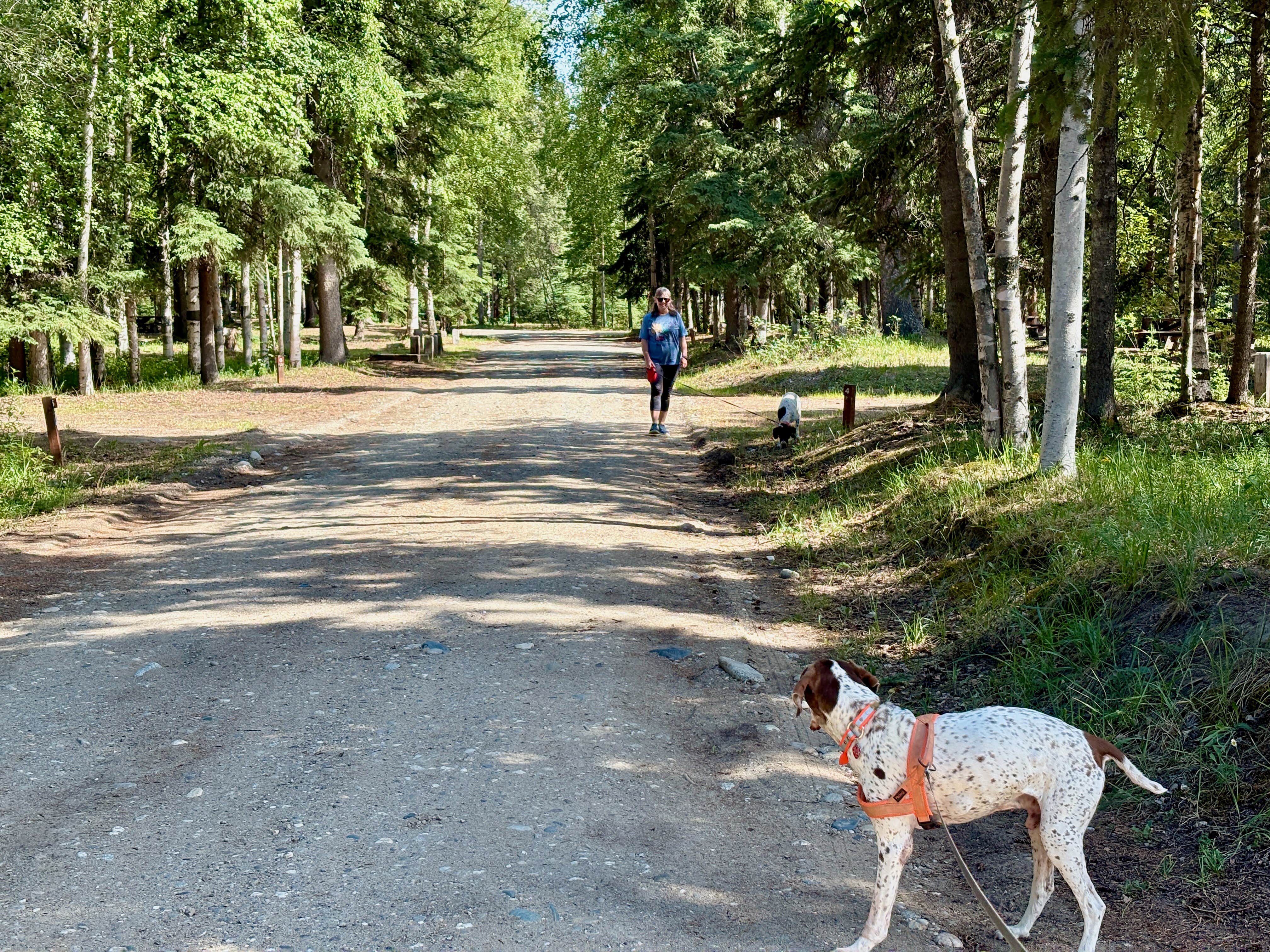 MickandKarla W.'s photo of camping with pets at Delta State Recreation Site near Salcha, AK