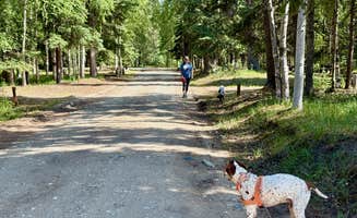 MickandKarla W.'s photo of camping with pets at Delta State Recreation Site near Delta Junction, AK