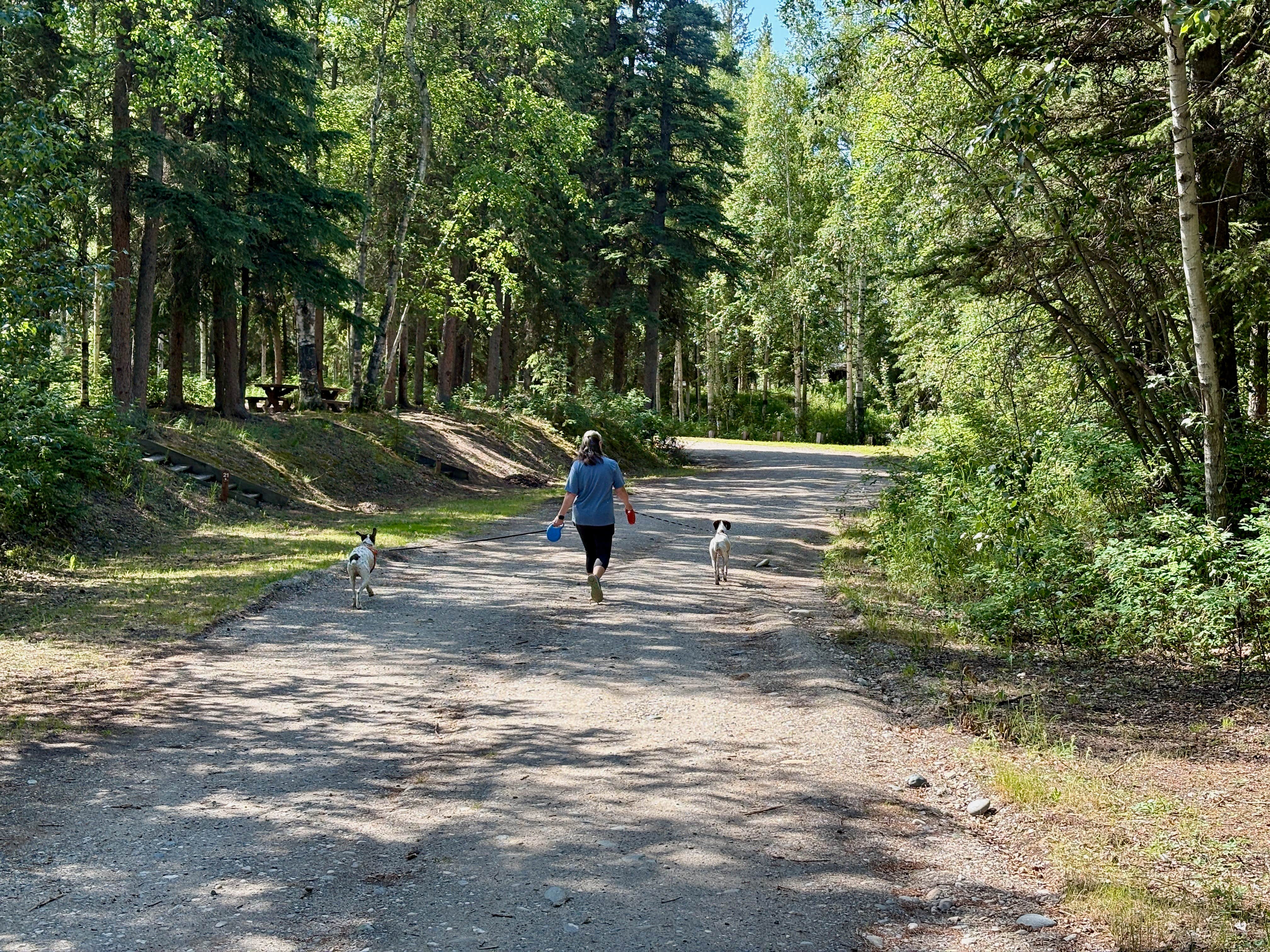 MickandKarla W.'s photo of camping with pets at Delta State Recreation Site near Salcha, AK