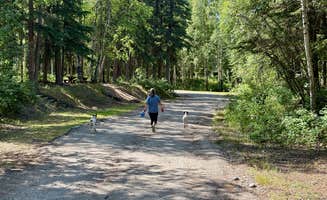 MickandKarla W.'s photo of camping with pets at Delta State Recreation Site near Salcha, AK