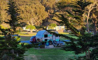 Patrick M.'s photo at North Beach Campground — Pismo State Beach near Guadalupe, CA