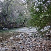 Review photo of Pfeiffer Big Sur State Park Campground by Patrick M., July 5, 2025