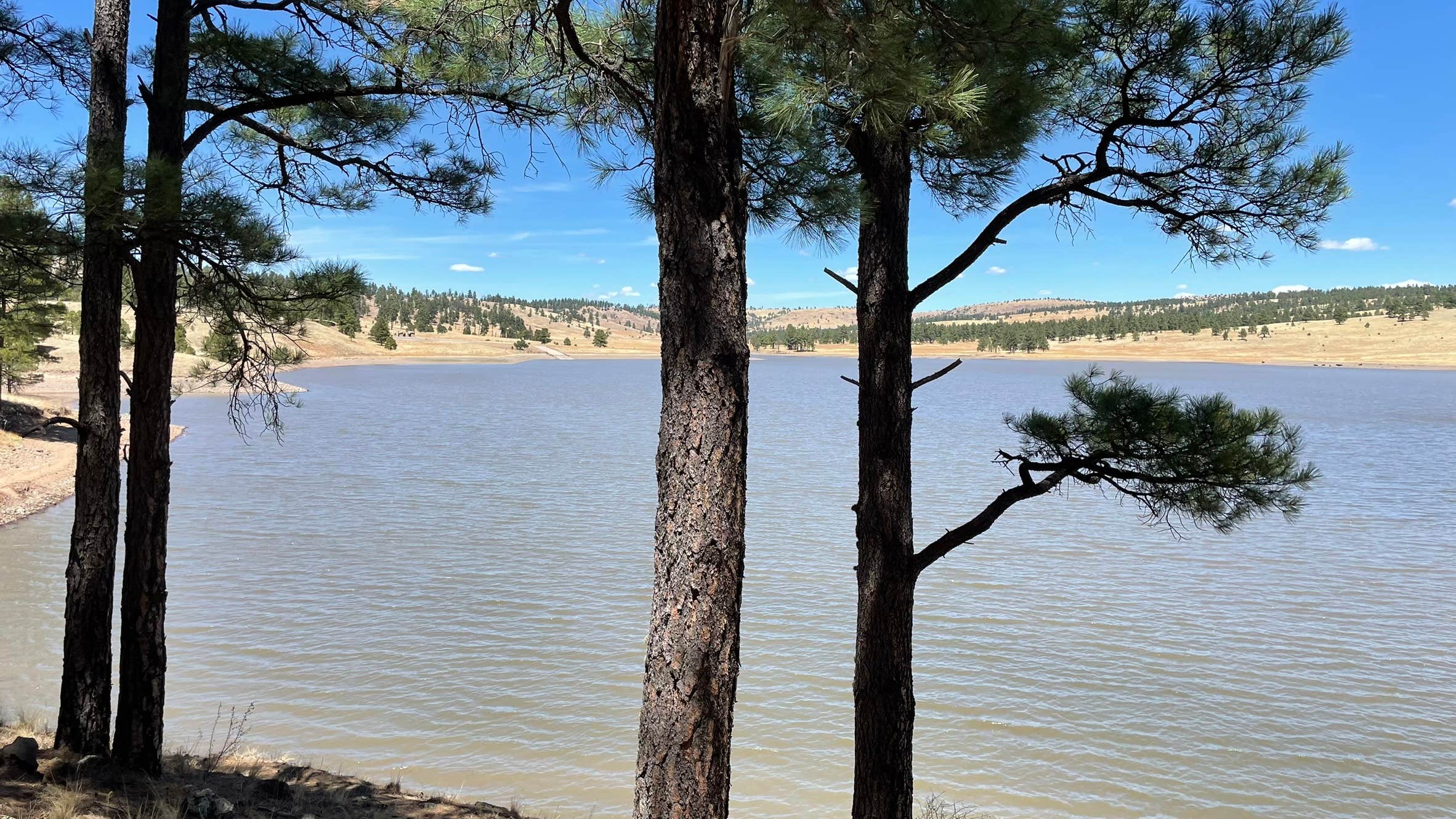Camper-submitted photo at Dipping Vat Campground near Gila National Forest