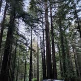 Review photo of Burlington Campground — Humboldt Redwoods State Park by Patrick M., July 5, 2025