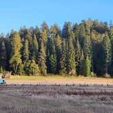 Review photo of Elk Prairie Campground — Prairie Creek Redwoods State Park by Patrick M., July 5, 2025