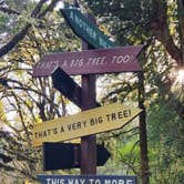 Review photo of Elk Prairie Campground — Prairie Creek Redwoods State Park by Patrick M., July 5, 2025