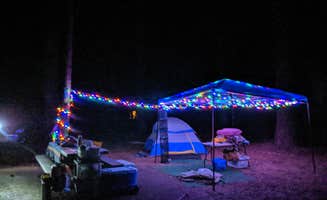 Dani P.'s photo at West Eagle Campground near Susanville, CA