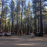 Review photo of Tahoe Valley Campground by Dani P., July 29, 2019