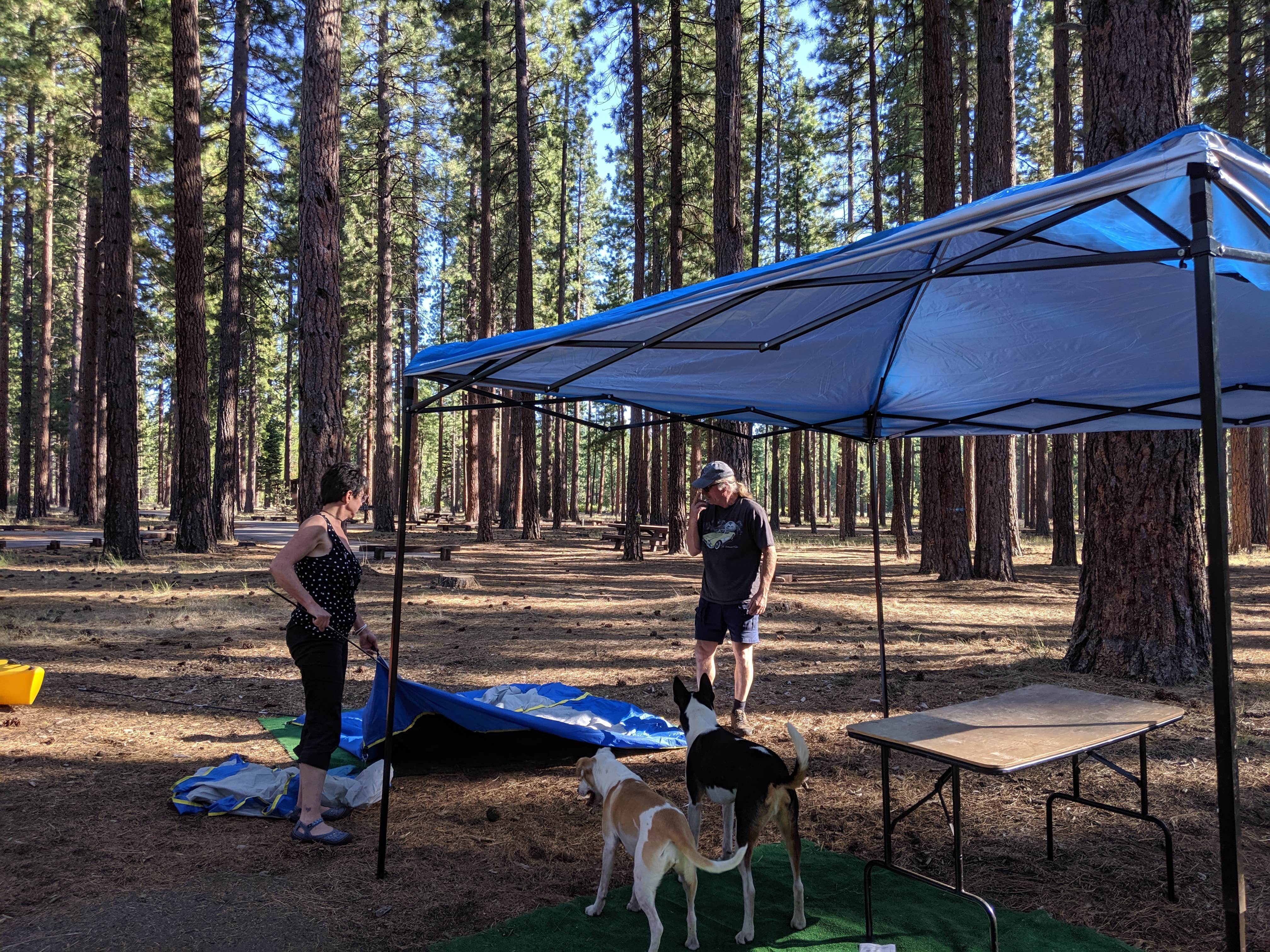 Camper submitted image from West Eagle Campground - 4