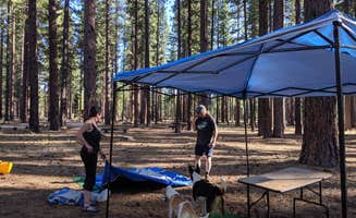 Dani P.'s photo at West Eagle Campground near Likely, CA