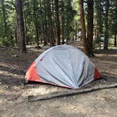 Review photo of Father Dyer by Logan C., July 29, 2019