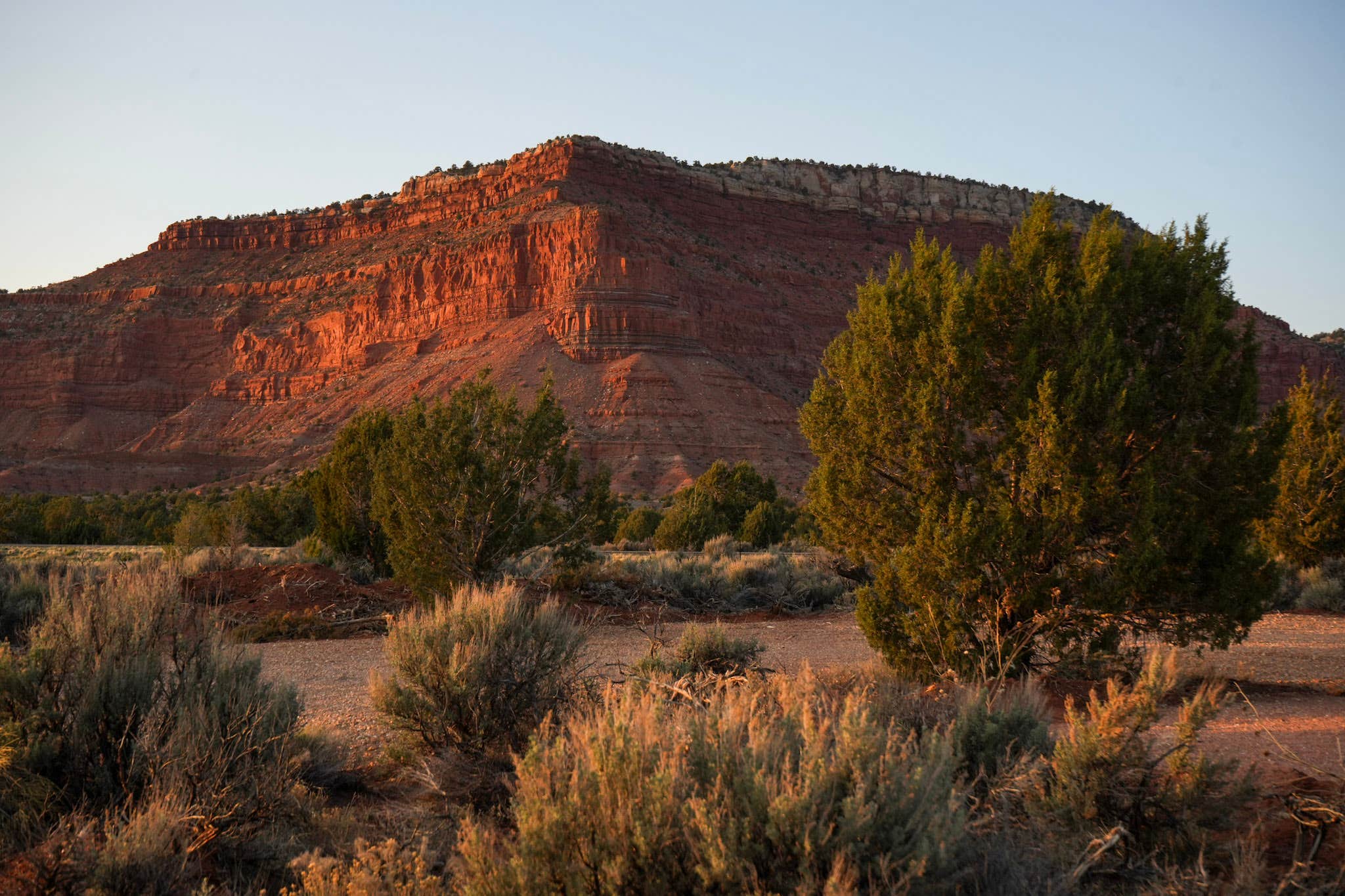 Camper submitted image from Starlight Camping - 2