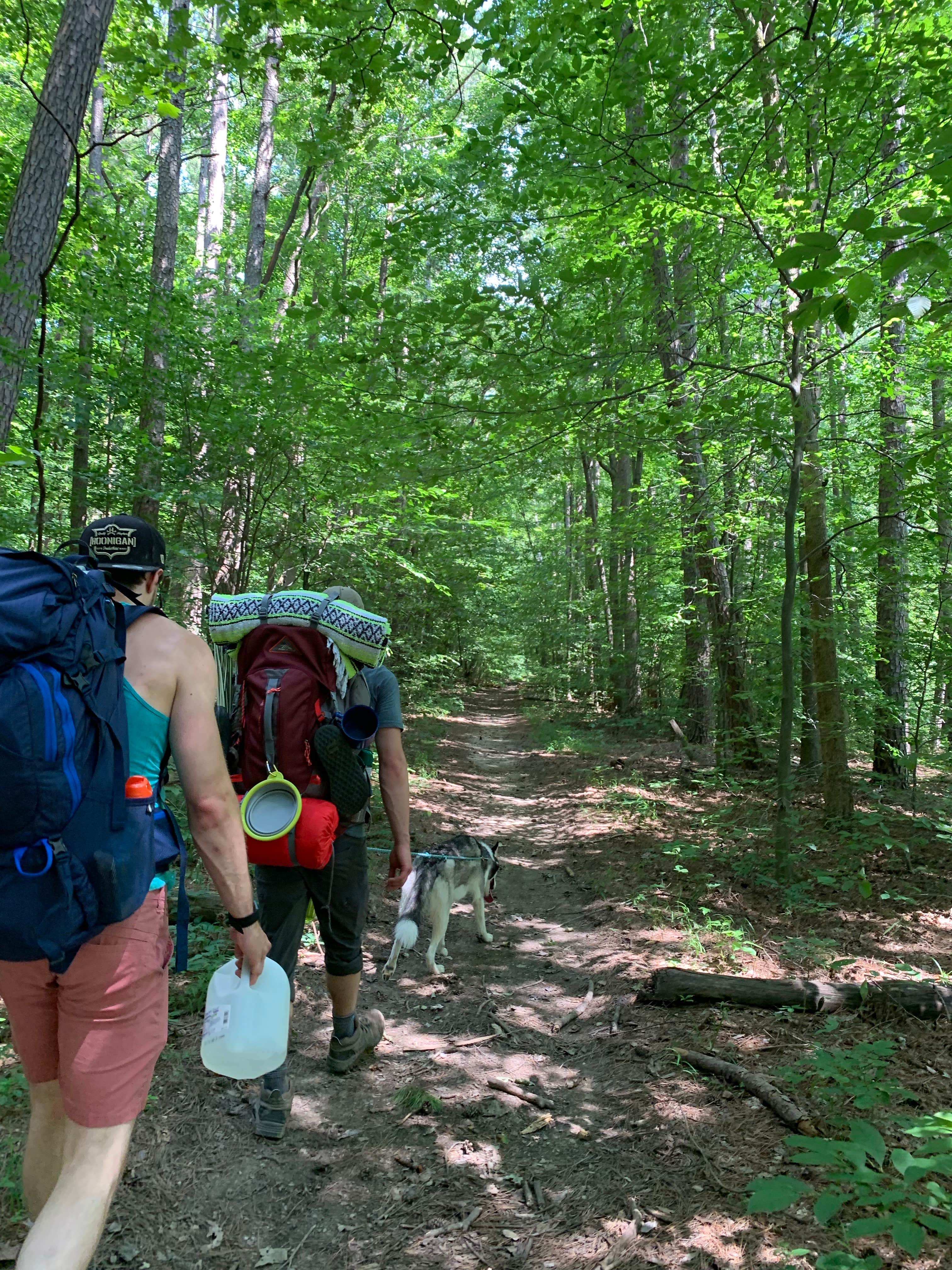 Camper-submitted photo at Charles C. Deam Wilderness near Scottsburg, IN