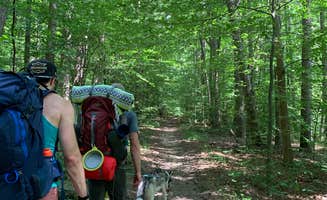 Jessica T.'s photo of camping with pets at Charles C. Deam Wilderness near Seymour, IN