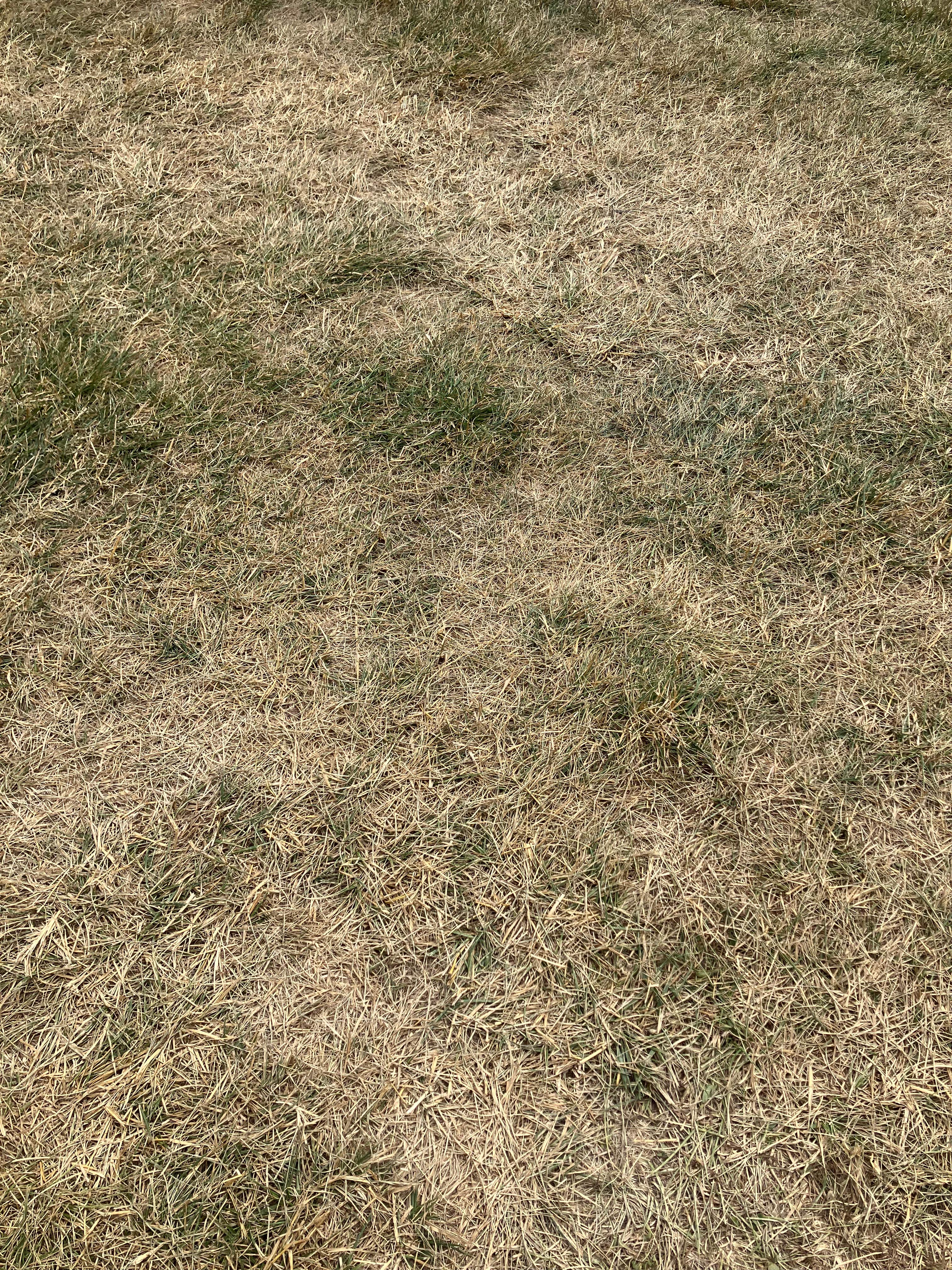 Camper-submitted photo at Blue Earth City Campground near Blue Earth, MN