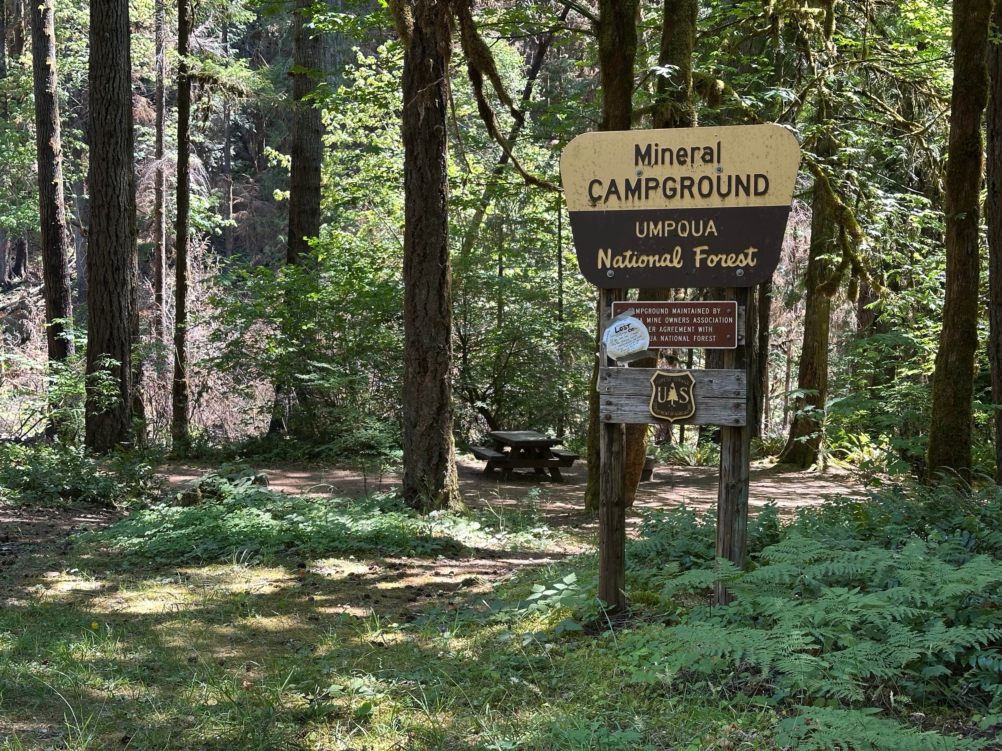 Camper submitted image from Mineral Forest Camp - 2