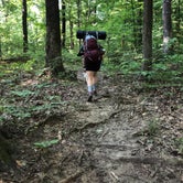 Review photo of Charles C. Deam Wilderness by Jessica T., July 29, 2019