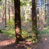 Review photo of Mineral Forest Camp by E’ O., July 6, 2025