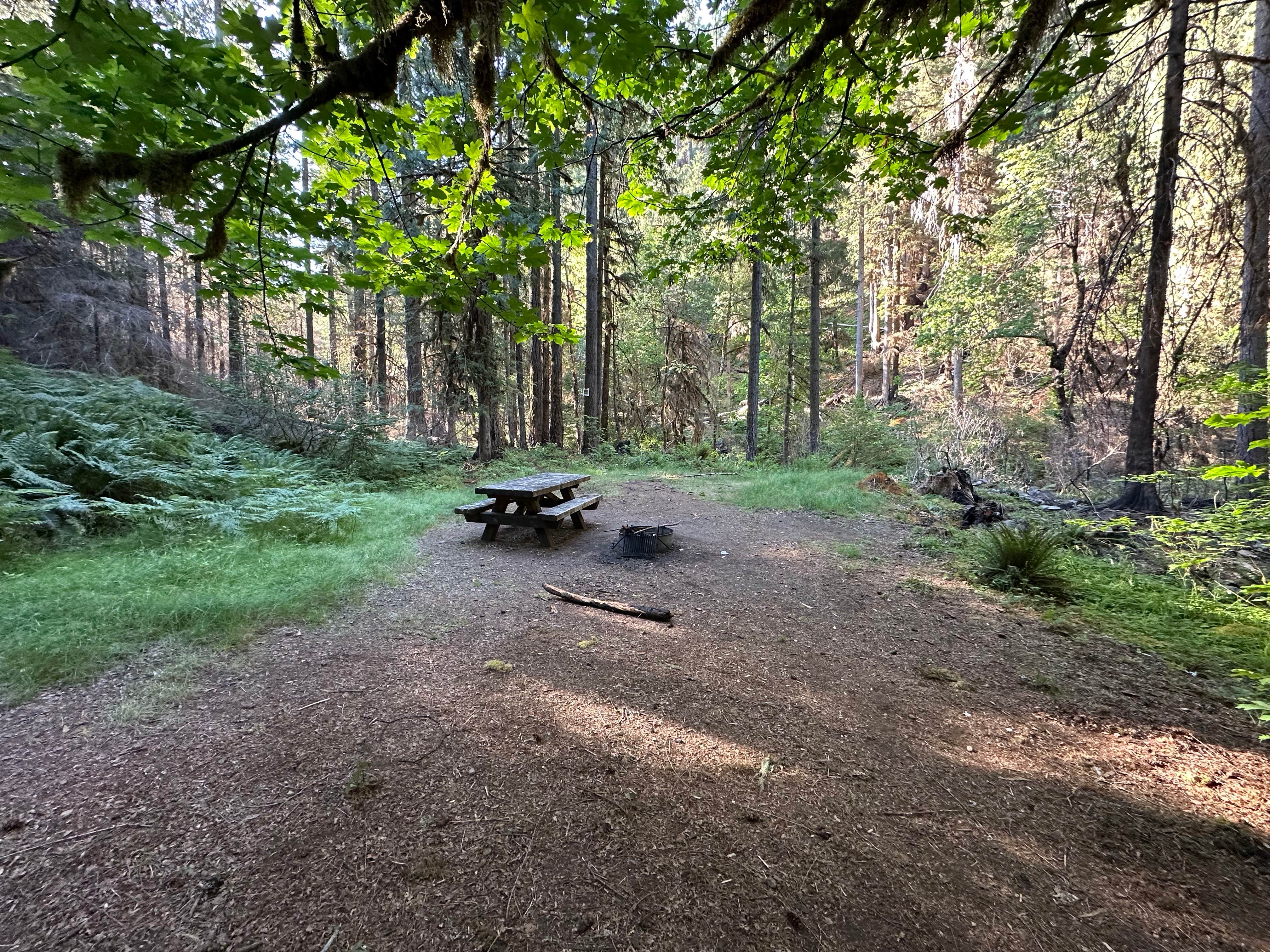 Camper submitted image from Mineral Forest Camp - 3