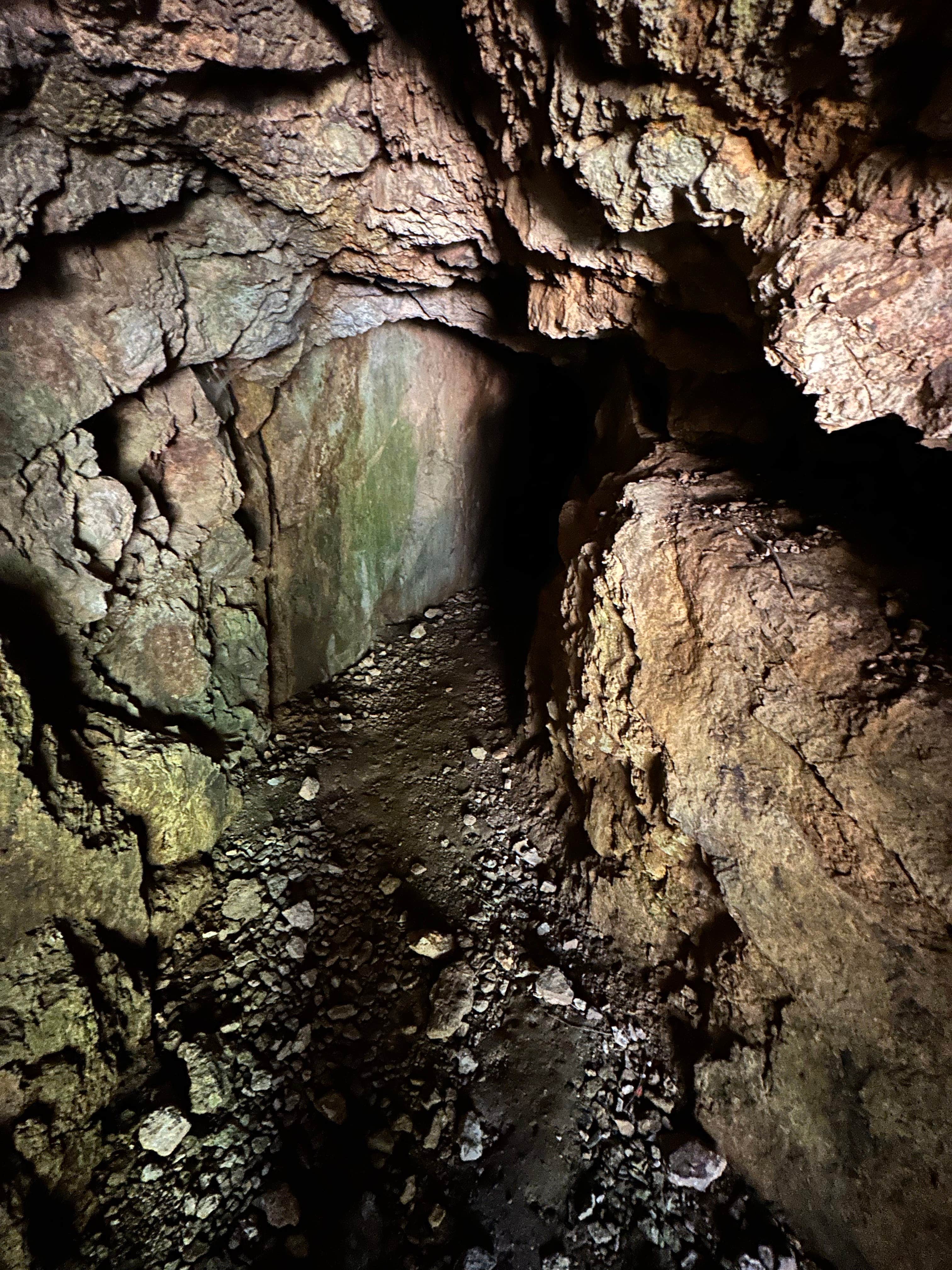 Camping near Hobo Camp Campground: Mineral Forest Camp, Dorena, Oregon