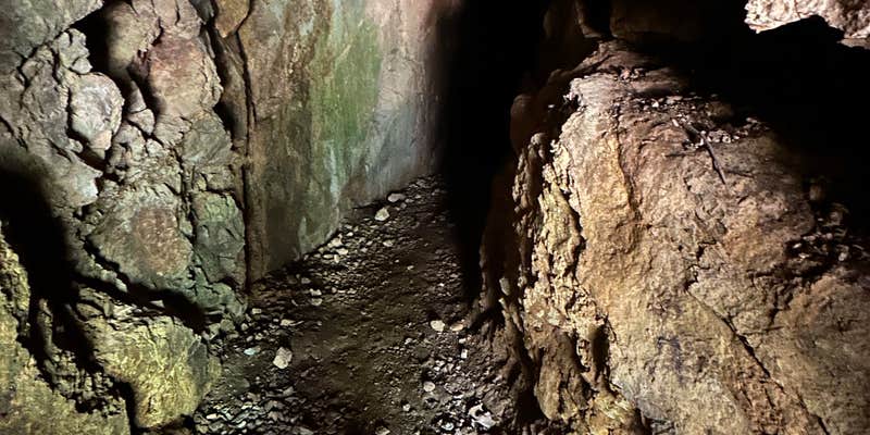 Camper submitted image from Mineral Forest Camp