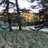 Review photo of Mueller State Park Campground by Jenni O., July 29, 2019